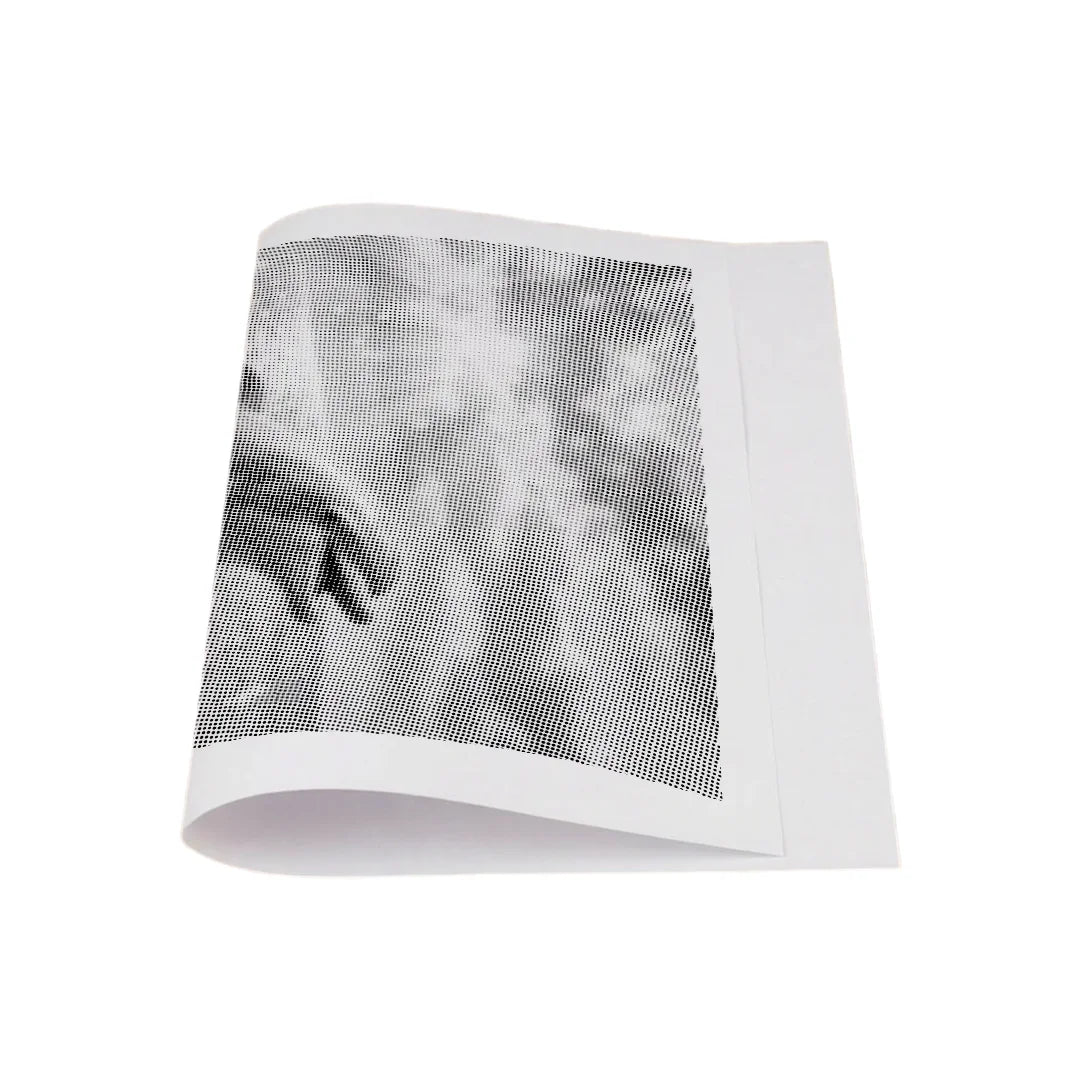 Kit dot painting Lupo