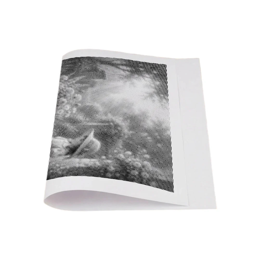 Kit dot painting Lupo