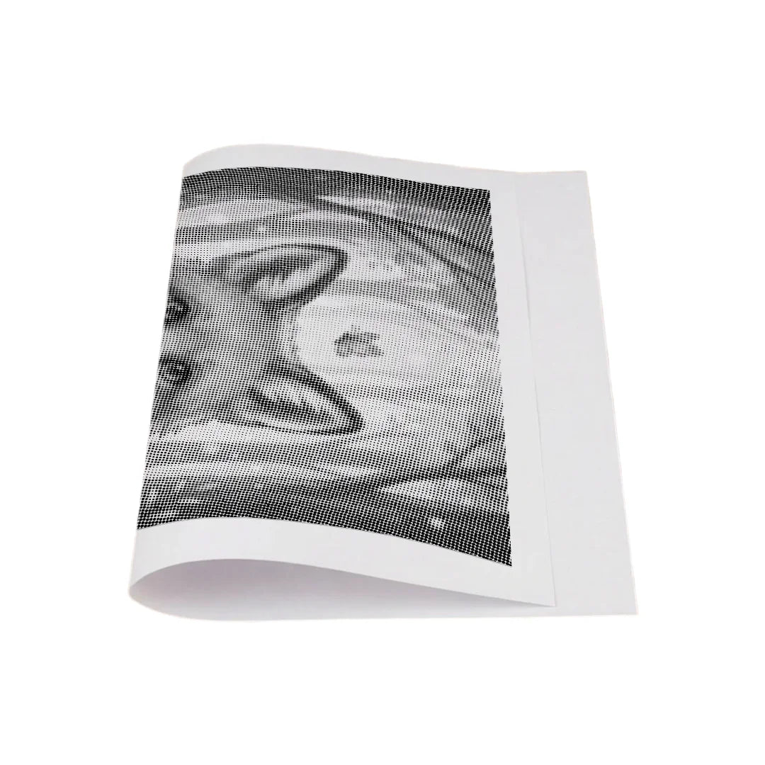 Kit dot painting Lupo