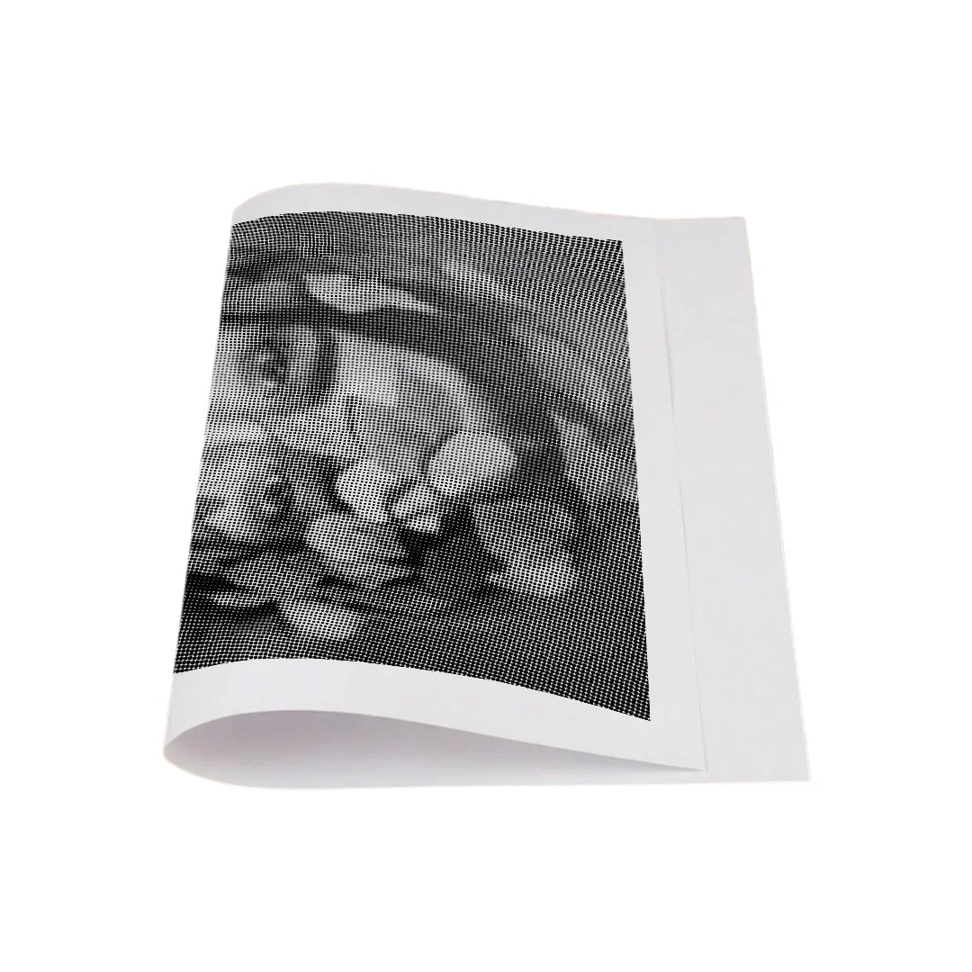 Kit dot painting Lupo