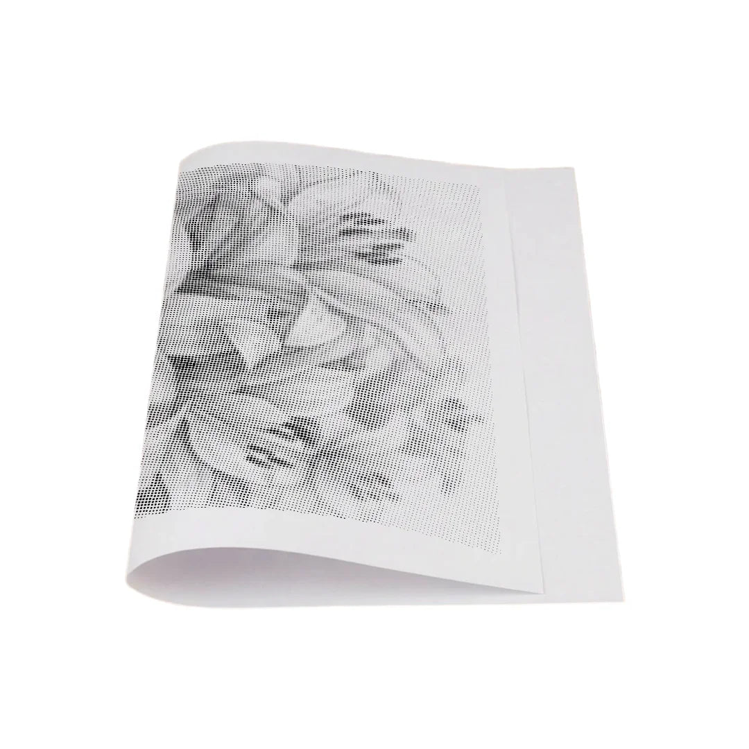 Kit dot painting Lupo