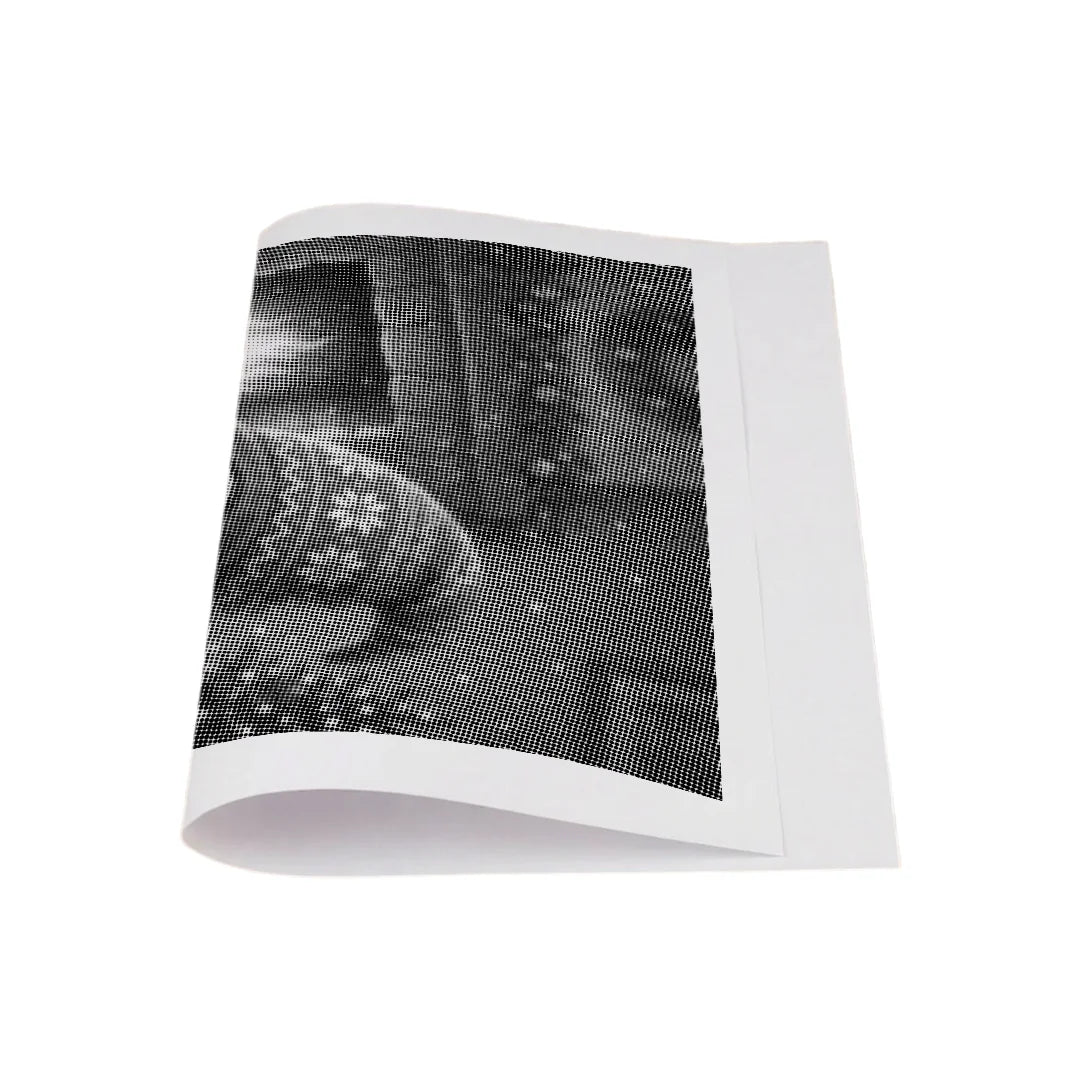 Kit dot painting Lupo