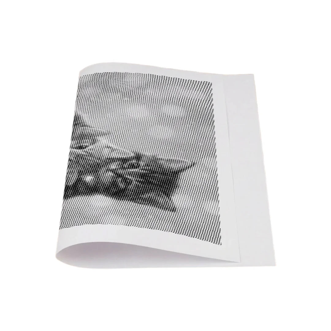 Kit dot painting Lupo