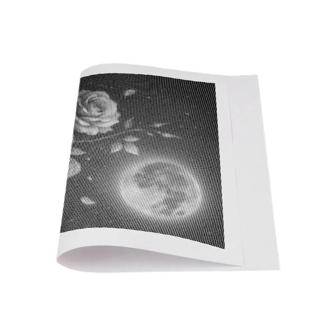 Kit dot painting Lupo