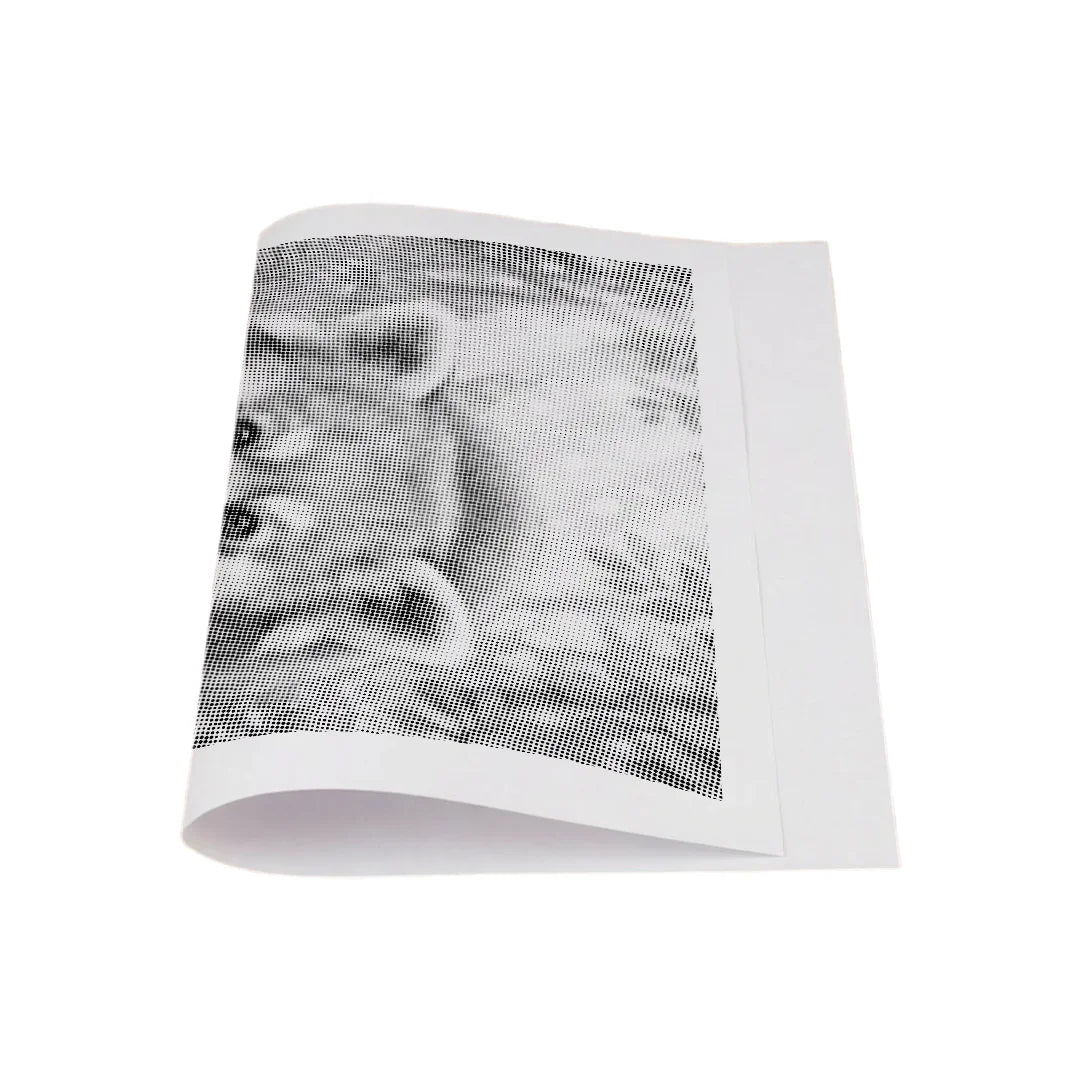 Kit dot painting Lupo