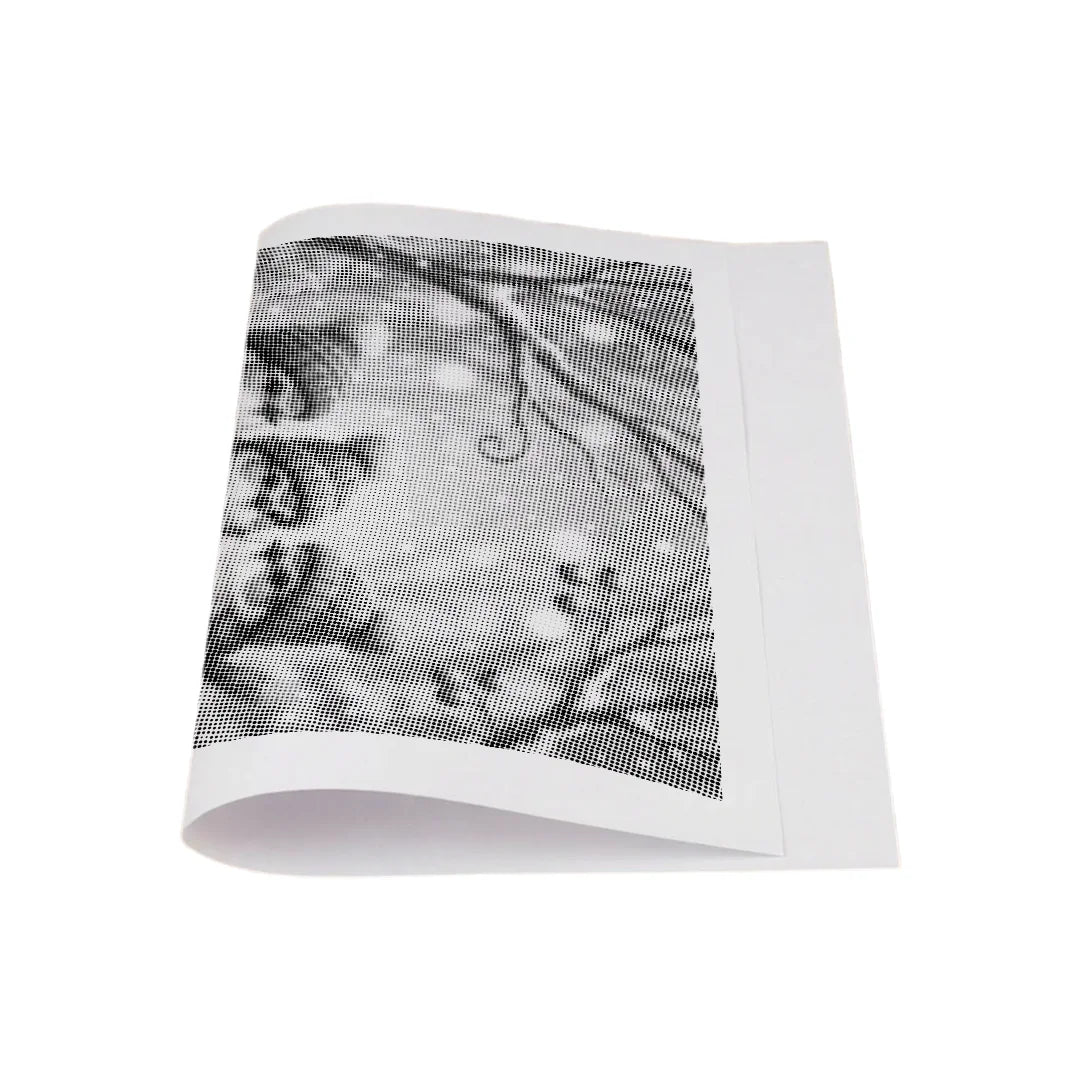 Uccelli con cappelli Dot Painting