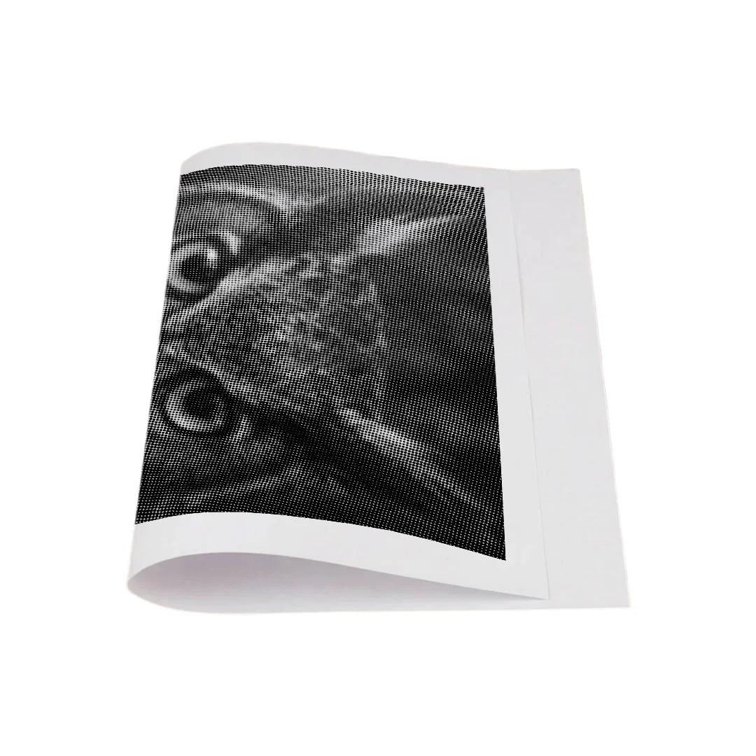 Kit dot painting Lupo