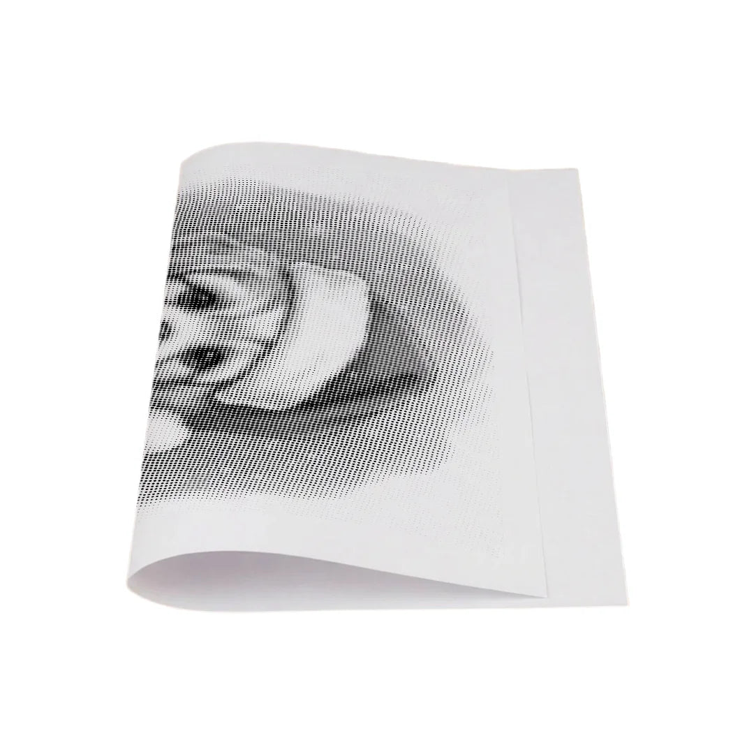 Kit dot painting Lupo