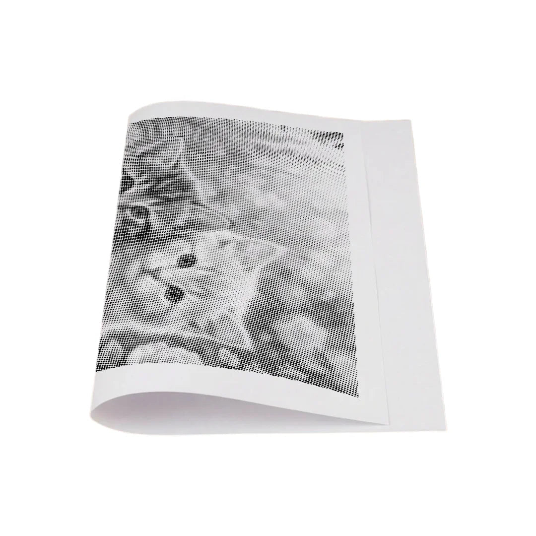 Kit dot painting Lupo