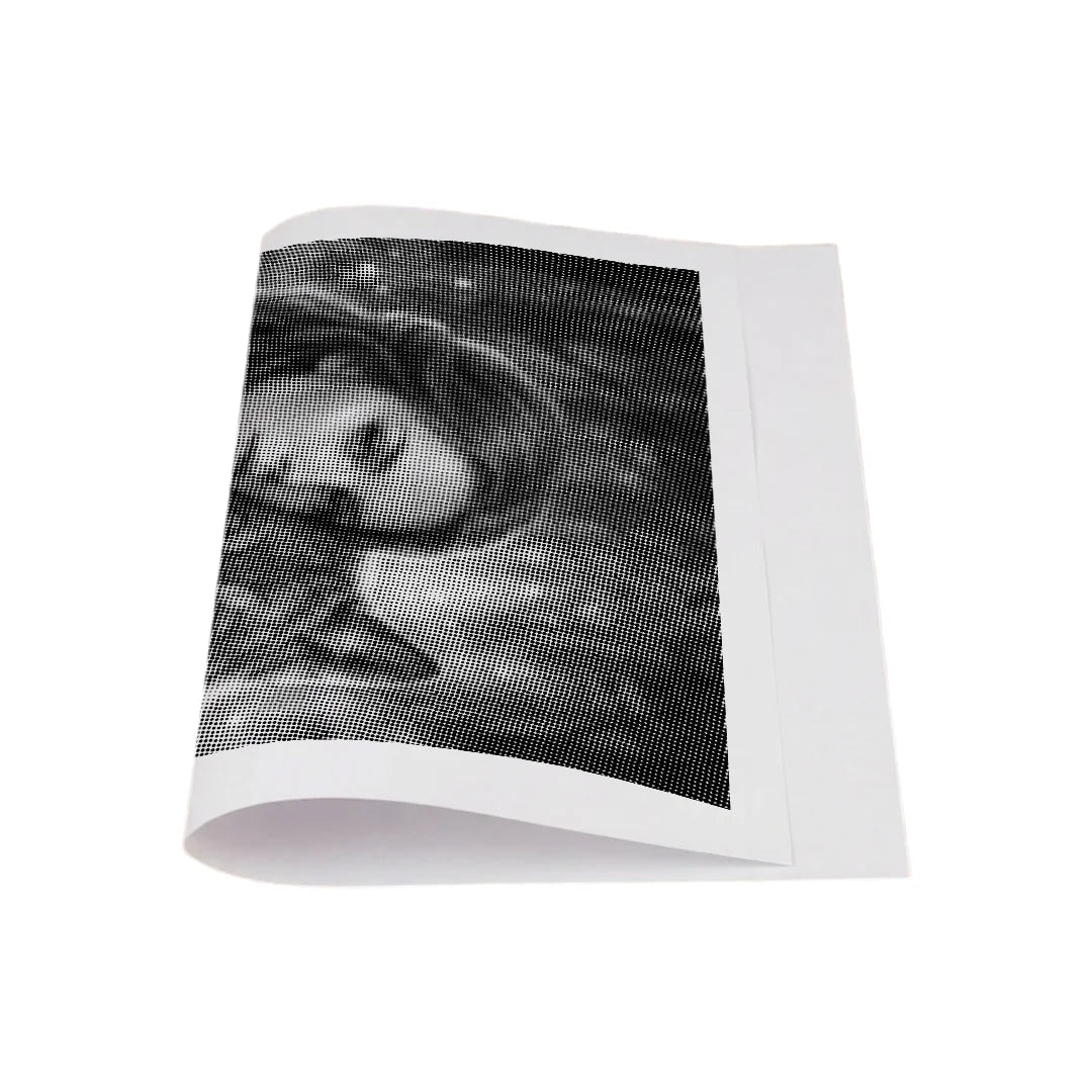 Kit dot painting Lupo