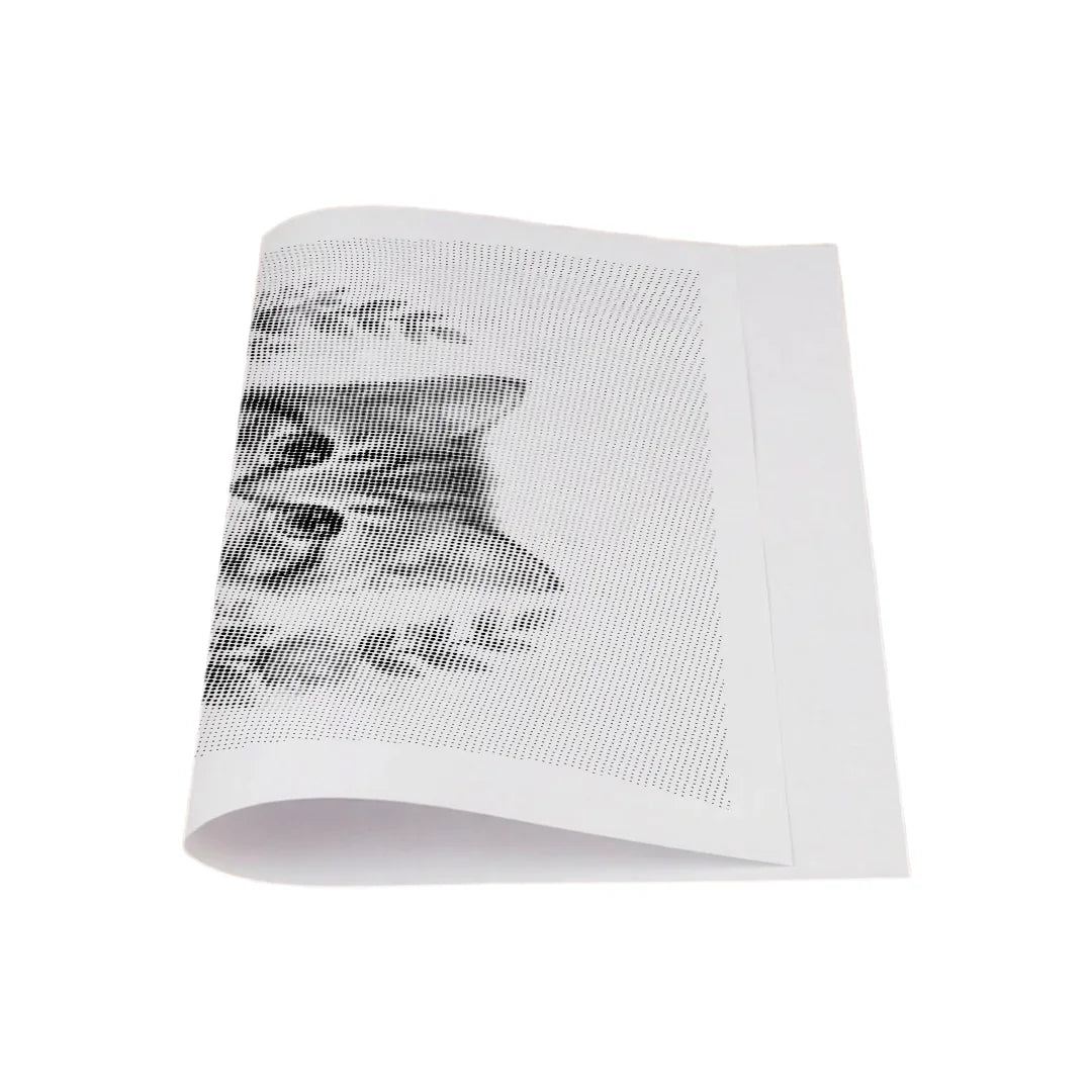 Kit dot painting Lupo