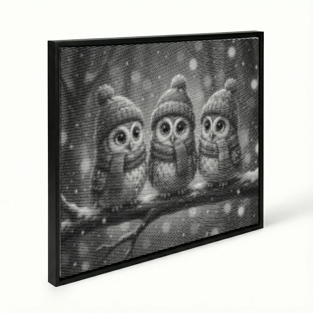Gufi con cappelli Dot Painting