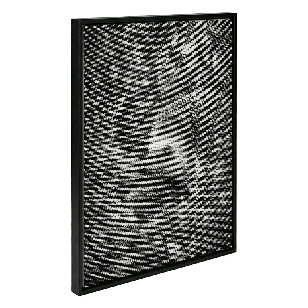 Kit dot painting Lupo