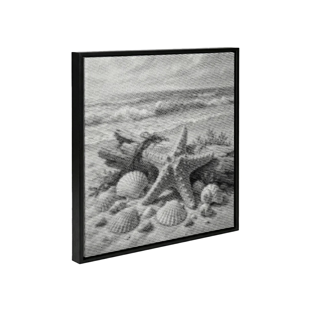 Conchiglie sulla spiaggia Dot Painting