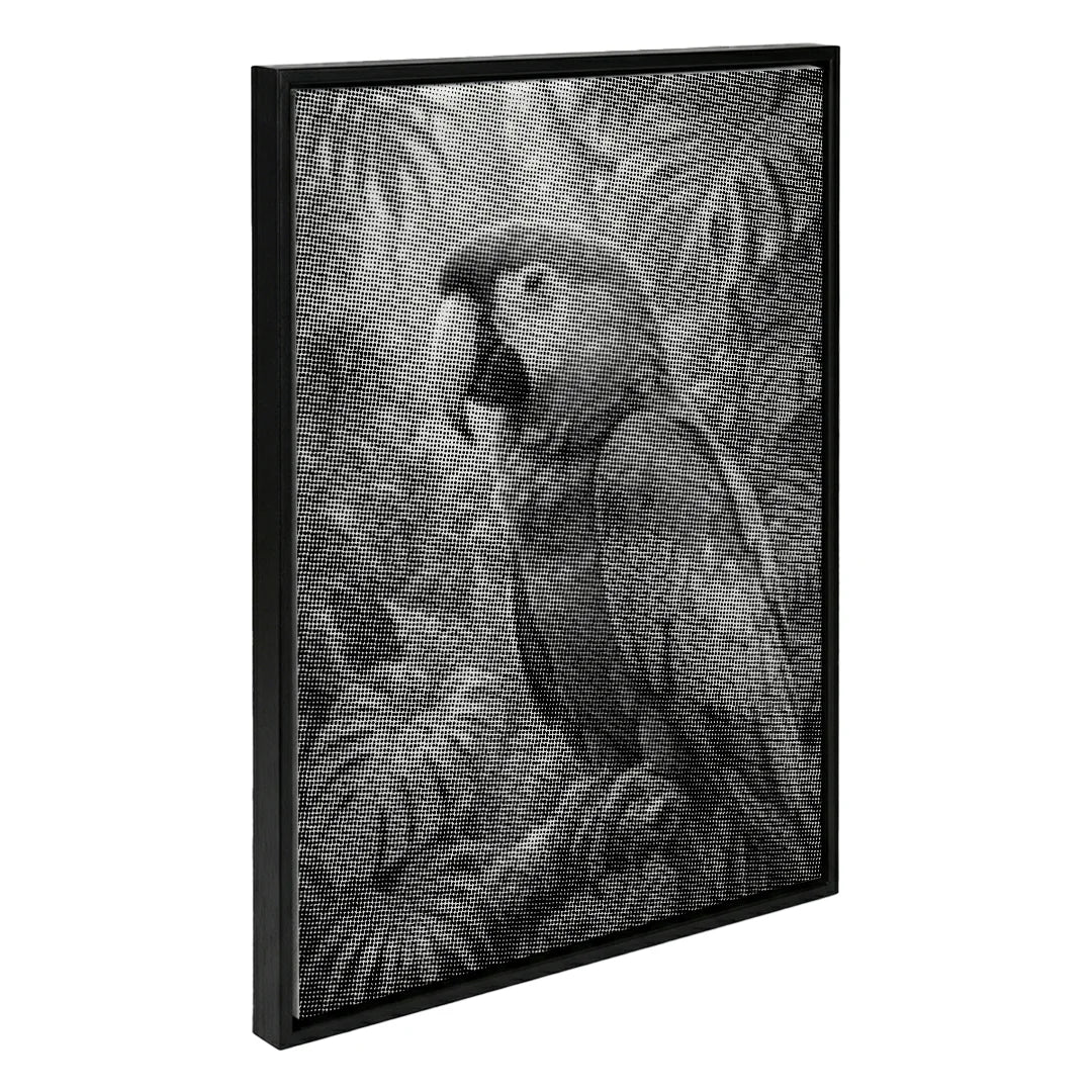 Kit dot painting Lupo