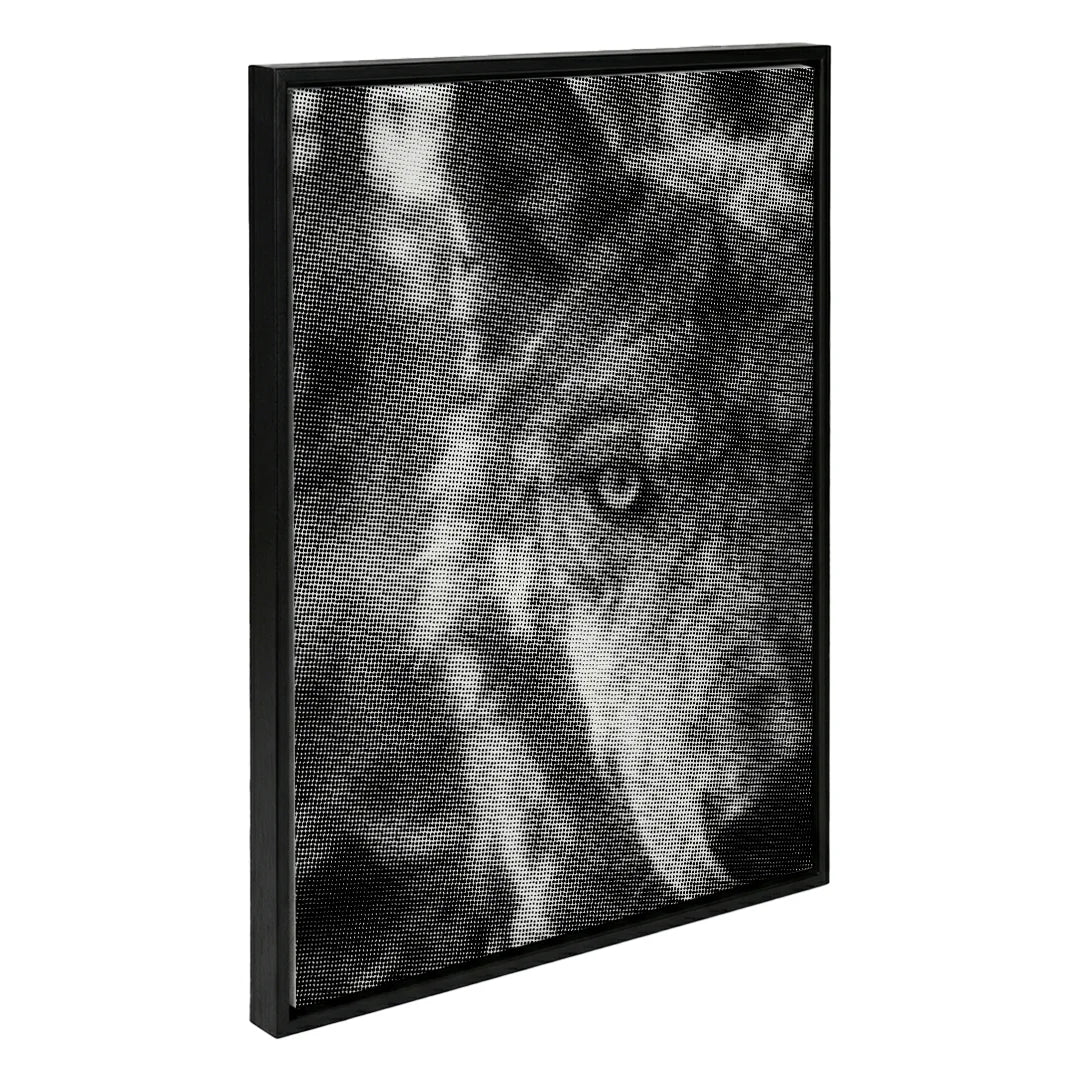 Kit dot painting Lupo