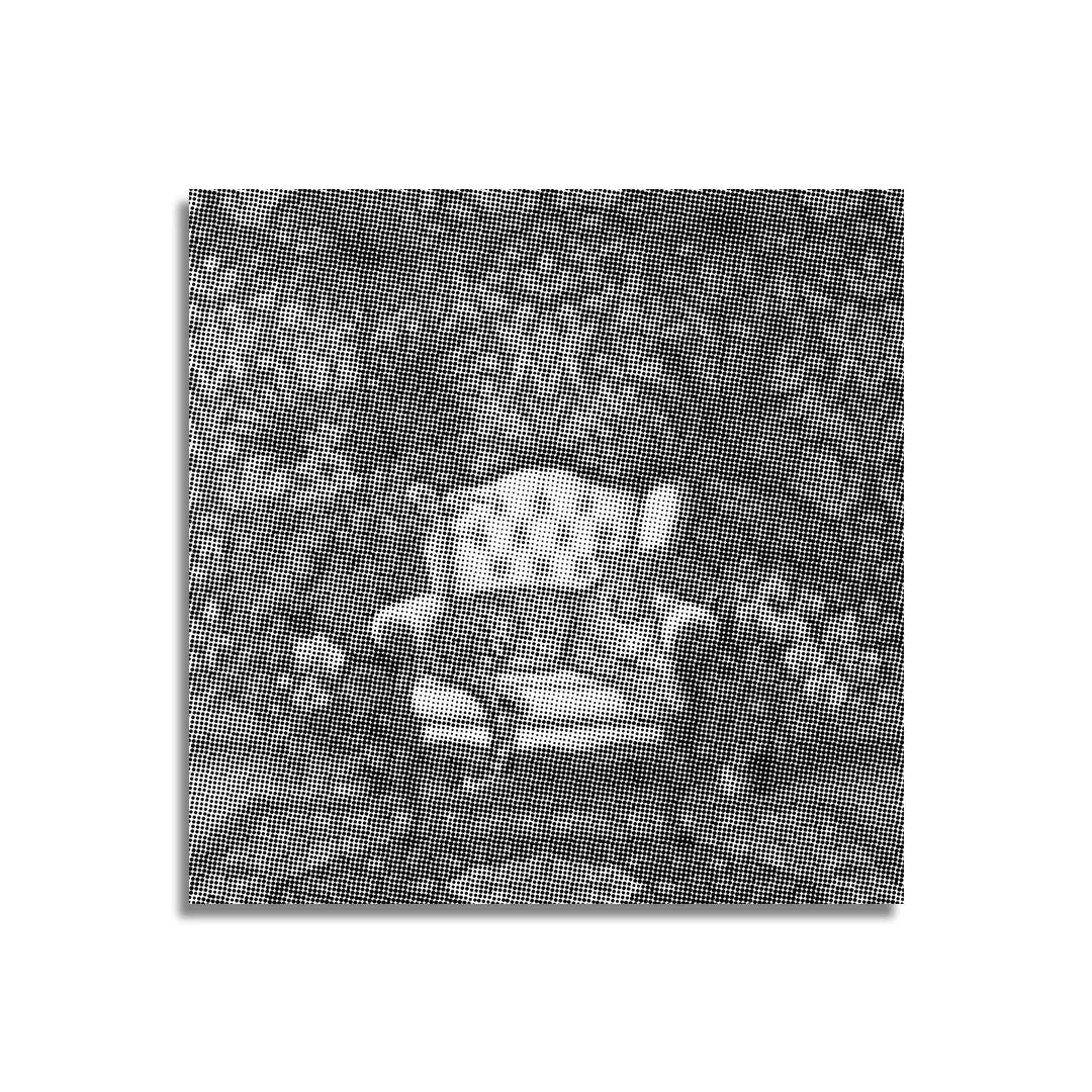 Kit dot painting Lupo