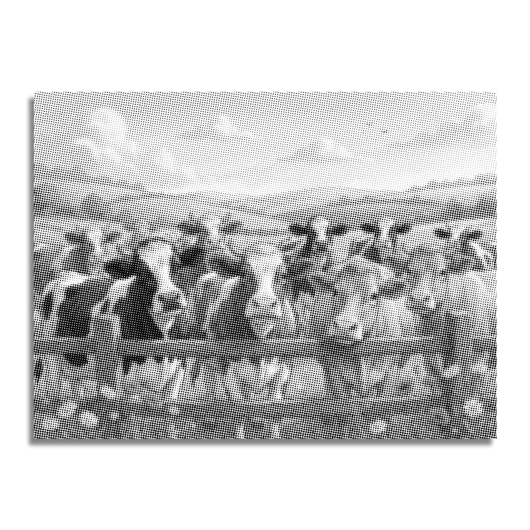 Kit dot painting Lupo