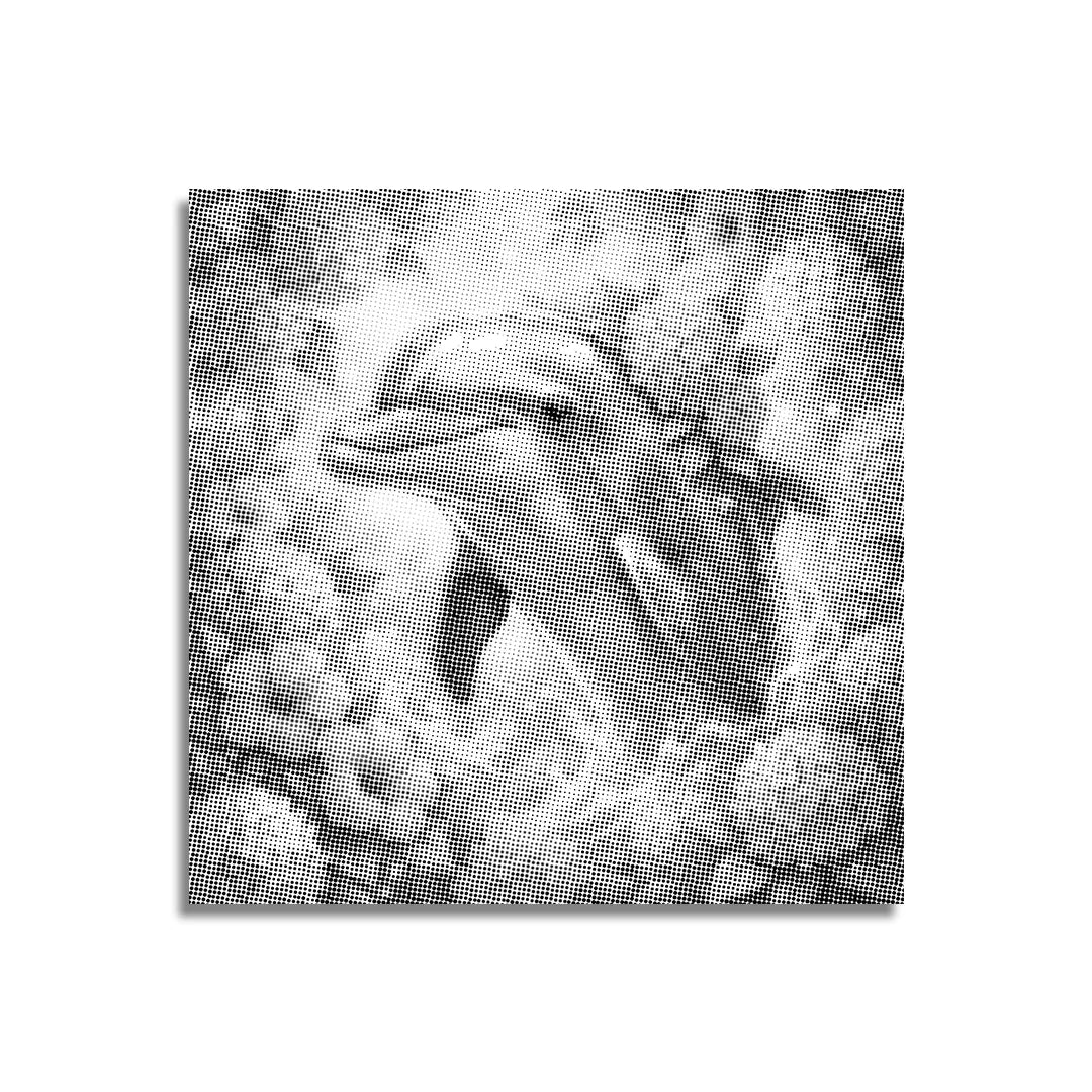 Kit dot painting Lupo