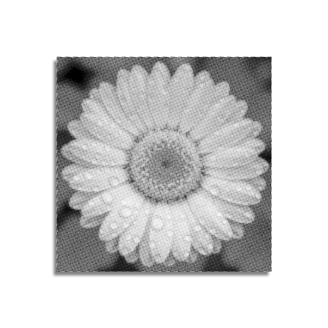 Kit dot painting Lupo