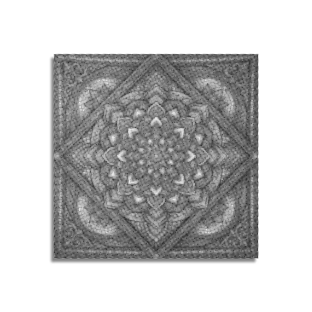 Kit dot painting Lupo