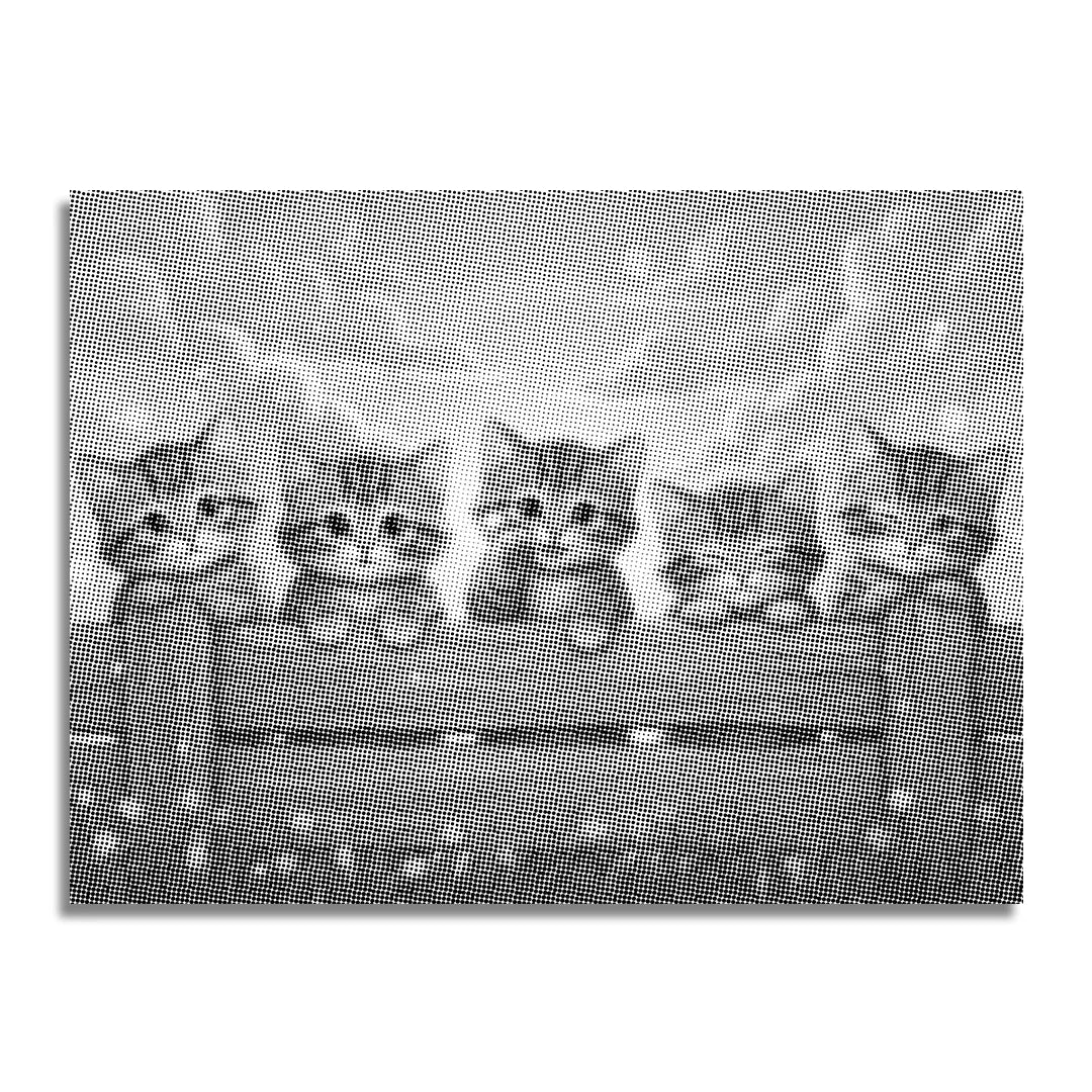 Kit dot painting Lupo