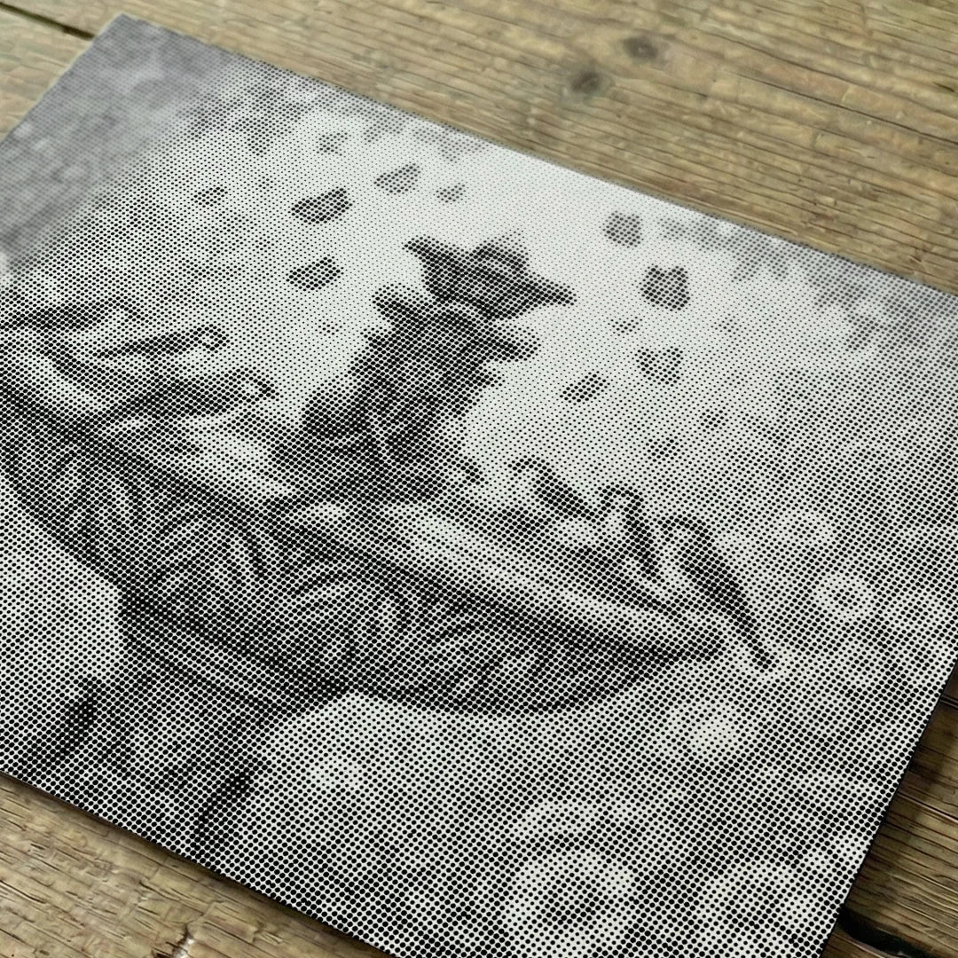 Kit dot painting Lupo