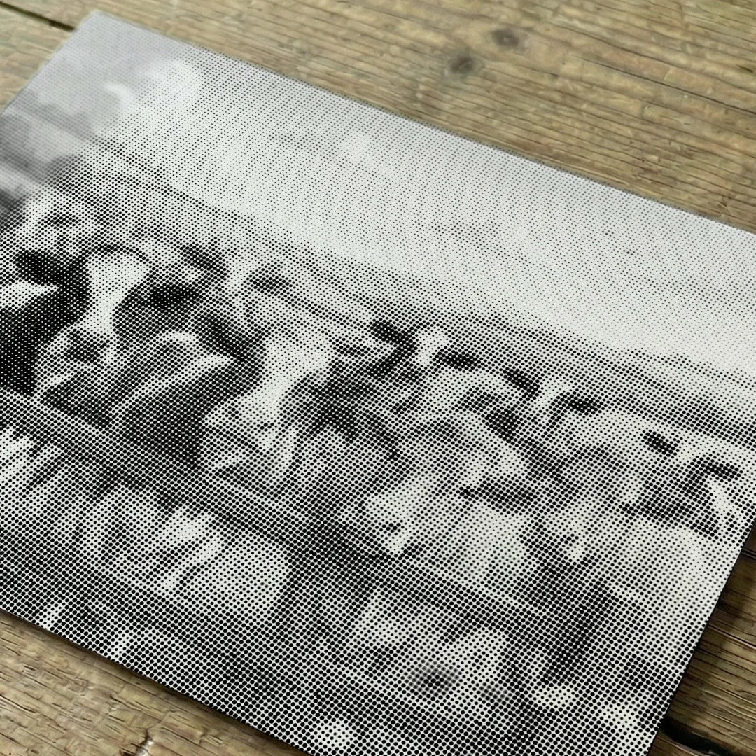 Kit dot painting Lupo