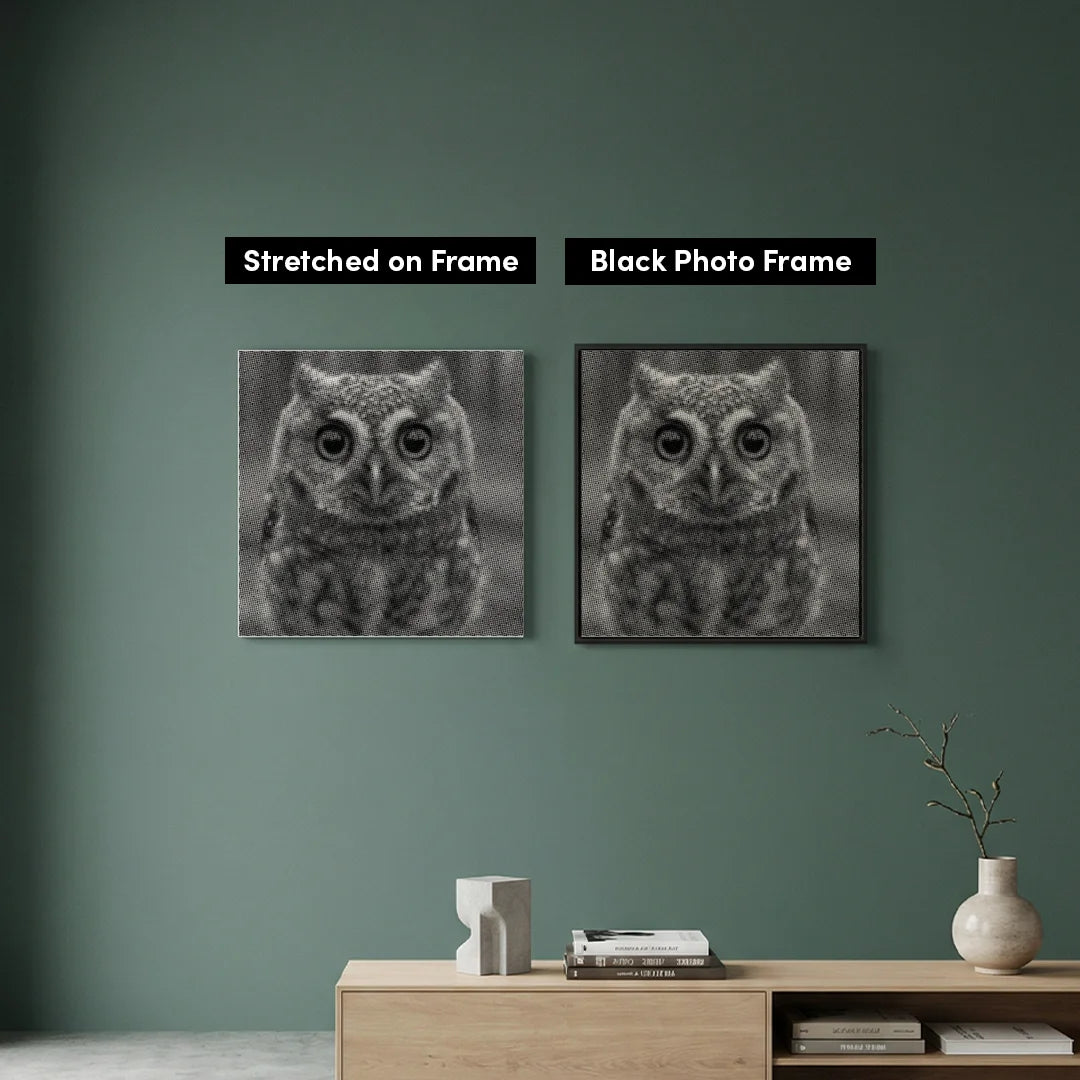 Kit dot painting Lupo